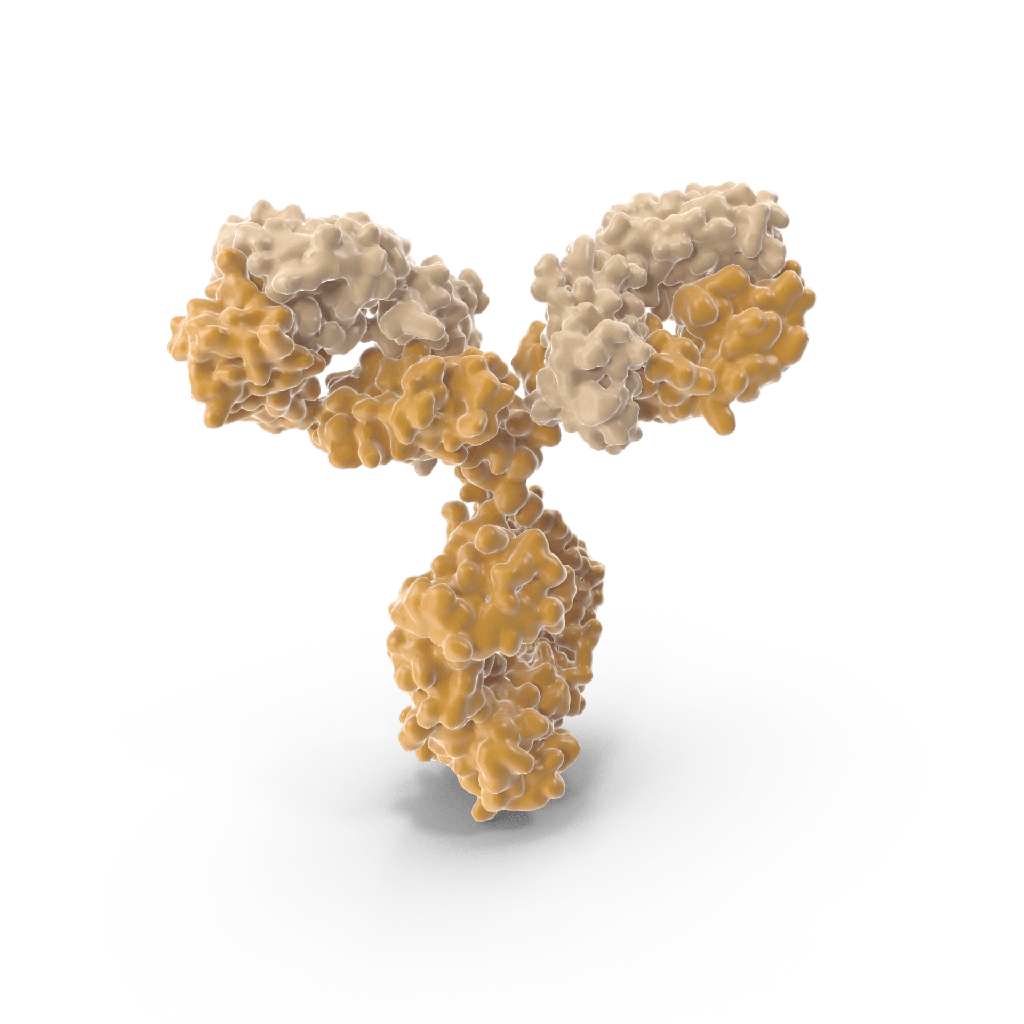 Anti-IgA monoclonal antibody