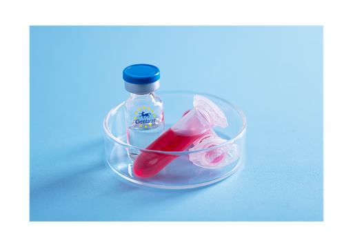 [GEN - PYT394-1mg] IL 1 beta Rat